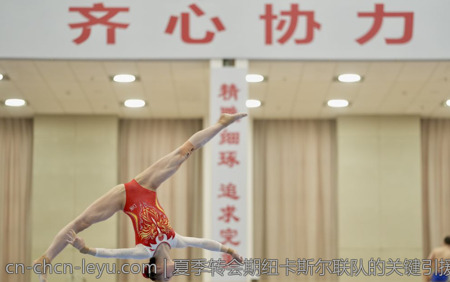 夏季转会期纽卡斯尔联队的关键引援盘点
