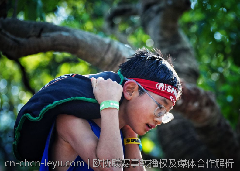 欧协联赛事转播权及媒体合作解析